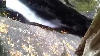 Bridge Over Lower Gorge Falls