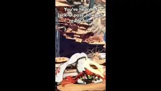 You've heard of Jack-o pose, now get ready for...