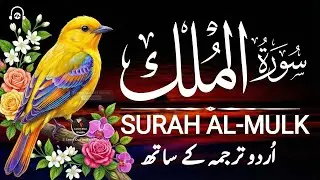 Surah Al-Mulk سورة الملك | Gentle Lofi Recitation for Mental Calm and Deep Rest #lofiquran