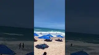 🌊🌬️💨🌍 #reggae #beach #agroecologia #brasil #praia #portodegalinhas #4rodas 👈