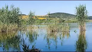Раят на ятата край Варна