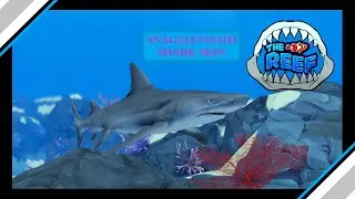 Shark Week Part 5: Limited Snaggletooth Shark Skin! | The Reef