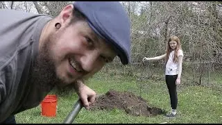 The Correct Way to Transplant Fruit Trees