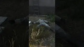The syringe is OP in DayZ