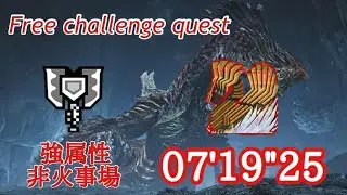 【MHWilds】歴戦王ジン•ダハド 07'19