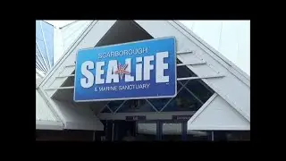 SeaLife Scarborough, England - الحياة اليحرية مدينة سكاربورو انجلترا