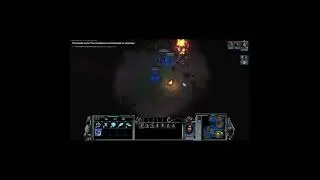 На что-то смахивает 🙄 StormGate #shorts