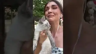 Ah yes, the cat distribution system 😂