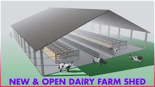 New Open Dairy Farm Tour | Dairy Farming Shed Design