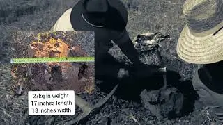 Digging for crystals at Agate Creek, Queensland.