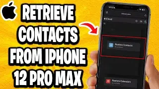 Как восстановить удаленные контакты с iPhone 12 Pro Max