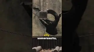 Gorilla Giggles: A Short Fun Ride 🦍😱😂🤣