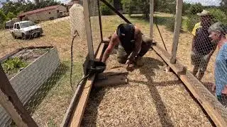 Snake in Chicken Coop , Catch & Release .