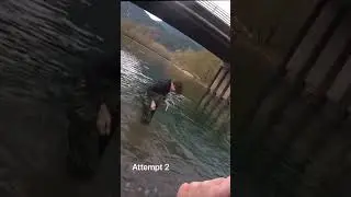 How to not net a fish