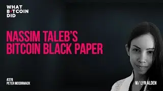 Nassim Taleb&rsquo;s Bitcoin Black Paper with Lyn Alden