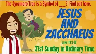 ✝️ Sunday School Lesson from the Catholic Sunday Mass Gospel Reading from Luke 19:1-10