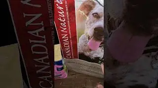 My Australian Shepherd is a picky Eater #dog #australianshepherd #pickyeater #dogfood #help #cesar