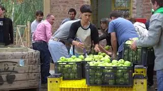 Molienda de manzana en el Taller de elaboraci&oacute;n de sidra