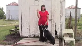 Trip to Monroe City, Missouri /Check-in on Apt./ South Garden/ Animal Food/ Homesteading Life/Vlog 6