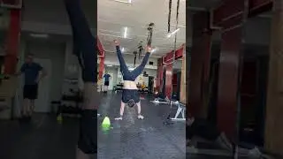 DCC SANCTIONAL 19.5