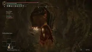 ELDEN RING™ ganking vig check then the ancient dragon man 