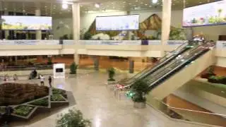KFIA Dammam | MOHD AZAM