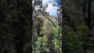 #Demodara #DemodaraLoop #EllaToDemodara #ScenicTrainRide #SriLankaTravel #HiddenGemsSL#TrainJourney