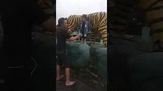 Macan Koramil Kalapanunggal