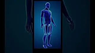Growing Taller after 18 (Bone Remodeling) #bones #exercise