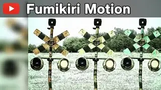 Fumikiri lights 🚦 railroad crossing Multiplayer version #fumikiri #railroadcrossing 