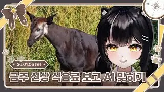 1월 1주차 금주 신상 식음료 보고 AI 맞히기 했어요 [ 2025. 01. 05 ]