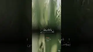 Support Islamic content to make me and to become a wildlife photographer.