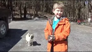 DON'T PUG ME - FAT DOGS ARE FUNNY