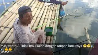 WKO// strike bertubi-tubi nila babon di lapak pemancingan villa jatisongo..~keseruan mancing bareng2