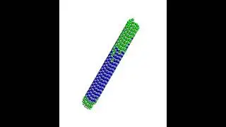 elife 54077 video1