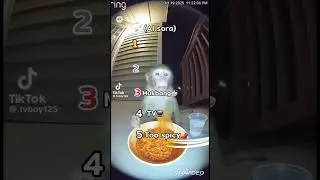 Ranking monkey AI sora🐒🐵part 3#ranking#monkey#ai