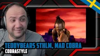 🇸🇪 Teddybears Sthlm, Mad Cobra - Cobrastyle (Video) | TEACHER PAUL REACTS NORGE SWEDEN
