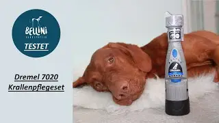 Bellini Hundephysio testet: Dremel 7020 Krallenpflegeset