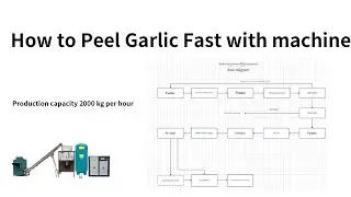 Garlic peeling solution|Automatic Garlic Peeling Machine Processing Line|garlic peeling machine