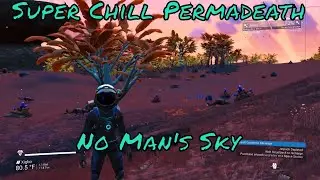 No Man's Sky 2.54 Super Chill Permadeath Hyperdrive and Antimatter Blueprints