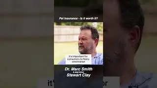 Should I Buy Pet Insurance? Is it Worth it? by Marc Smith, DVM, MS