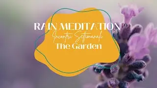 Rain Meditation: una pratica di self-compassion con Alice Bellini