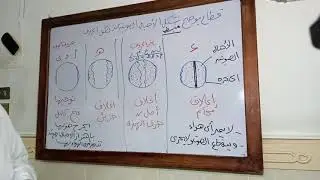 التجويد - شكل الأحبال الصوتية عند نطق الحروف - فضيلة الشيخ محمد وجدي المنصوري