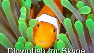 Программа для изменения голоса в Skype