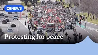 More than 1,500 turn out in Canberra for pro-Palestinian demonstration | ABC NEWS