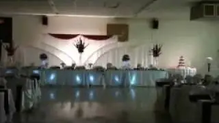 Wedding Reception Backdrop Ideas