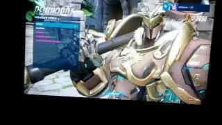 Overwatch - Reinhardt Skin Crash Bug