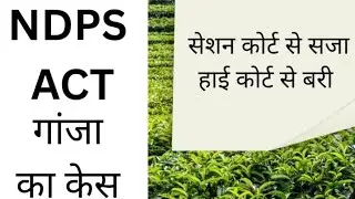 Cannabis to NDPS act case