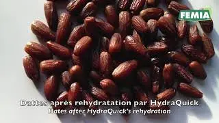 FEMIA HYDRAQUICK