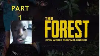 the forest s matym